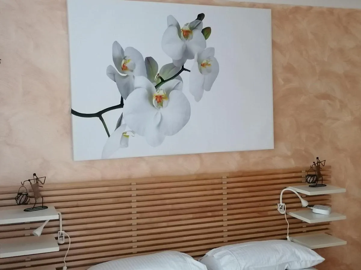 Beautiful Double Bedroom In Shared Flat Near Olympic Park In Stratford London United Kingdom