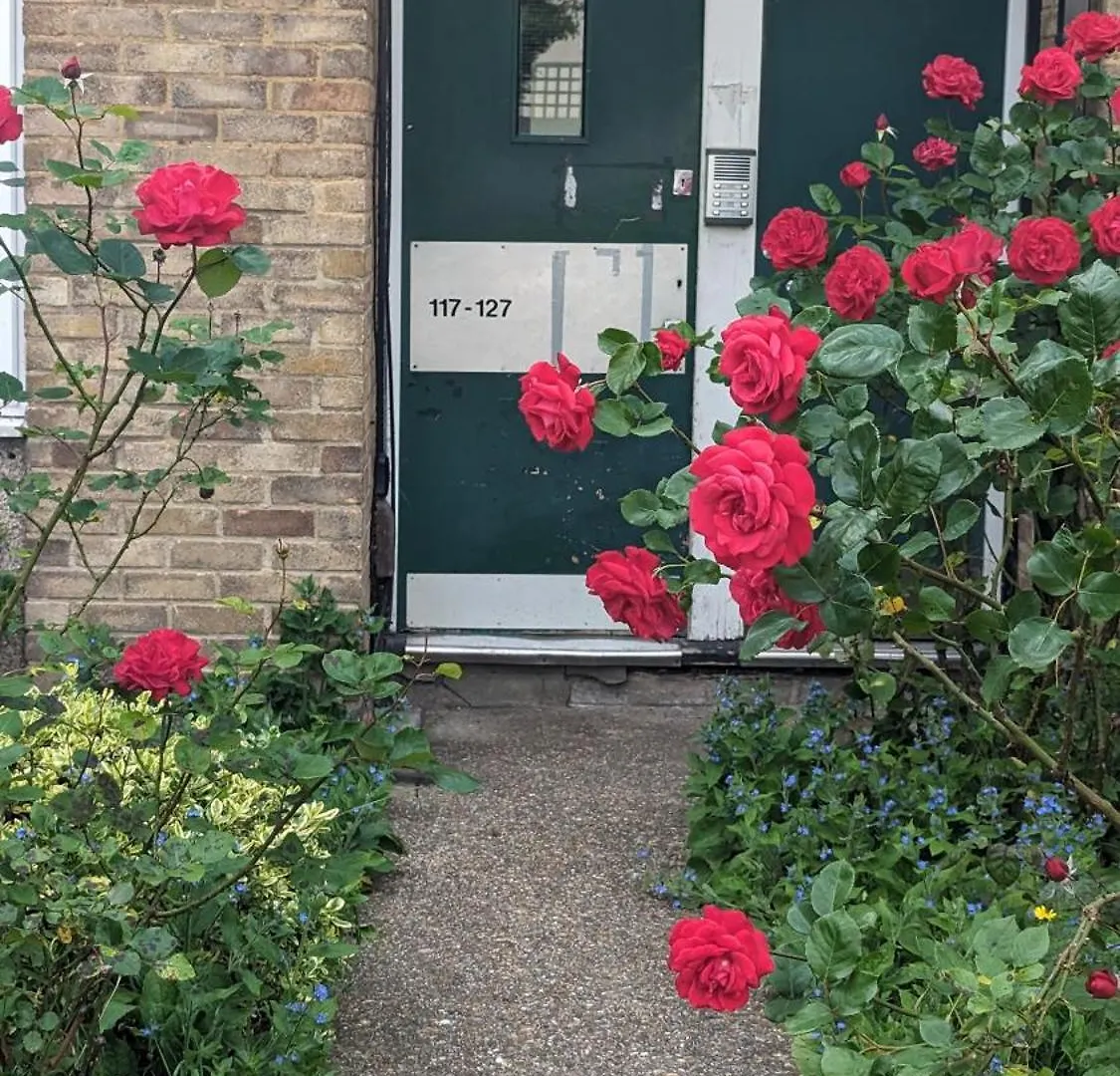 Beautiful Double Bedroom In Shared Flat Near Olympic Park In Stratford London United Kingdom